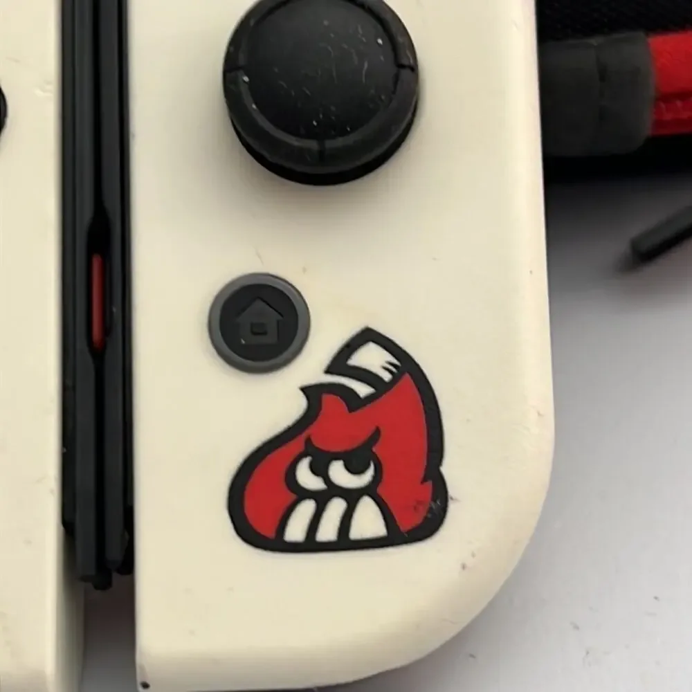 Nintendo Switch Joy-Con Custom Splatoon Themed Controllers